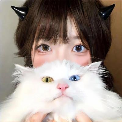 鸣鸿传